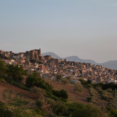 Villa Della Mimosa Alia Kültér fotó