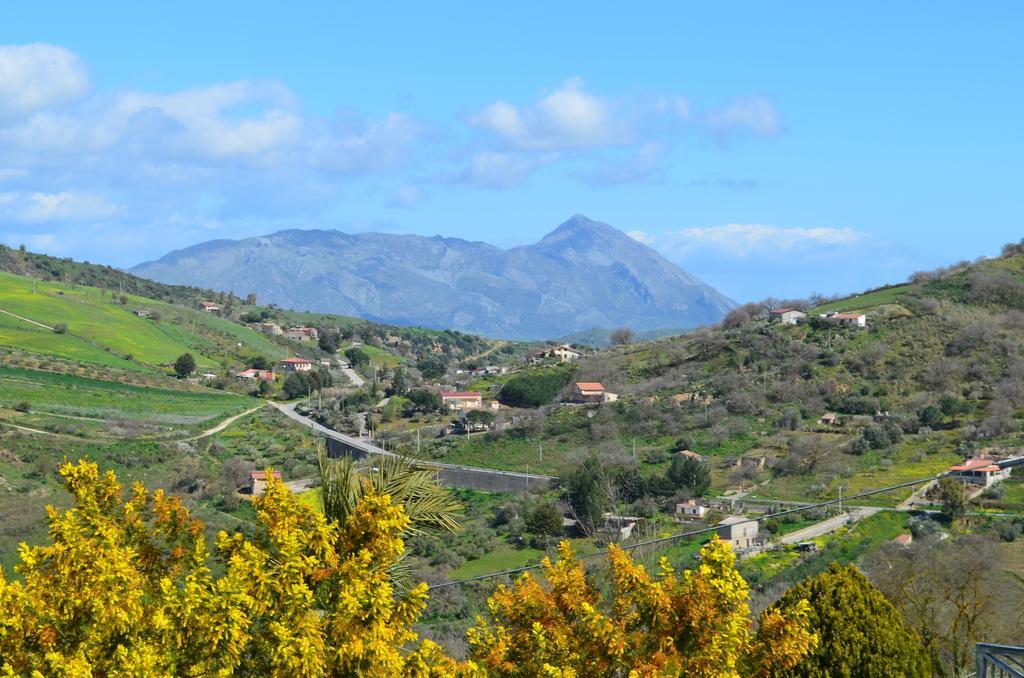 Villa Della Mimosa Alia Kültér fotó